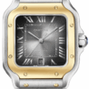 Швейцарские часы Cartier Santos de Large Model W2SA0030(45549) №1